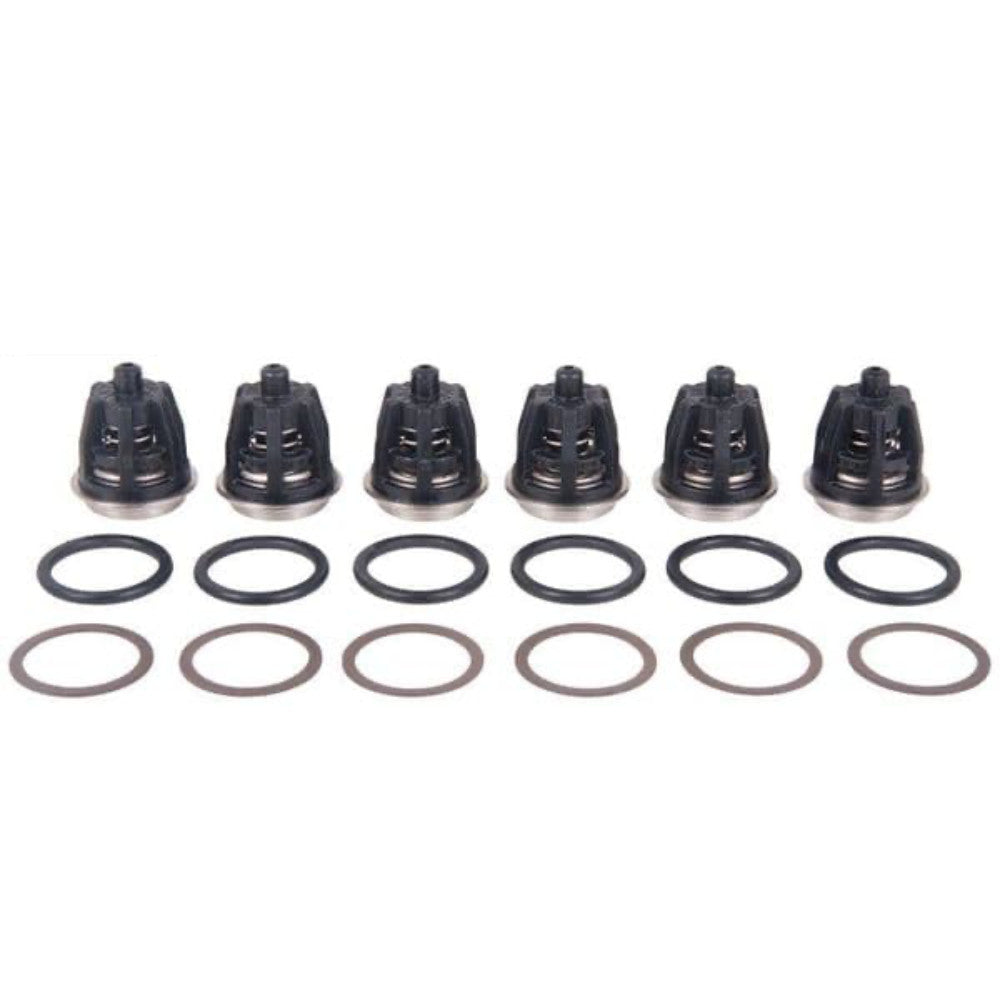 Interpump Valve Kit | Kit 201